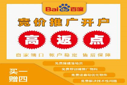 百度联盟推广网络覆盖的案例研究